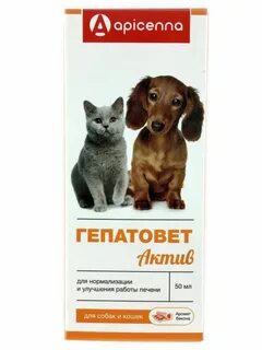 Профилактика печени собаки