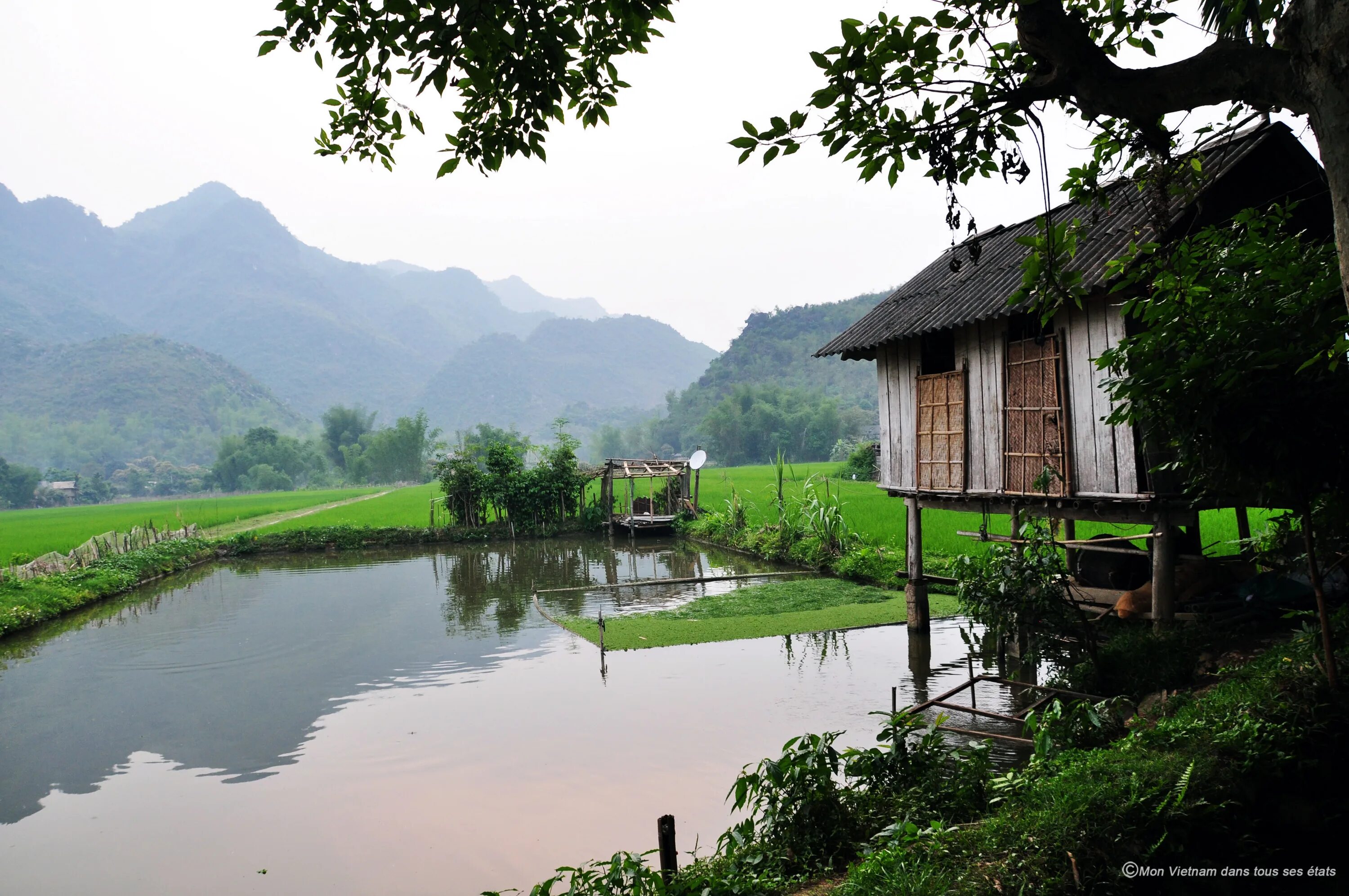 Вьетнам village. Вьетнам деревня. Деревня Сонгми Вьетнам деревня. Сонкми Вьетнамская деревня.