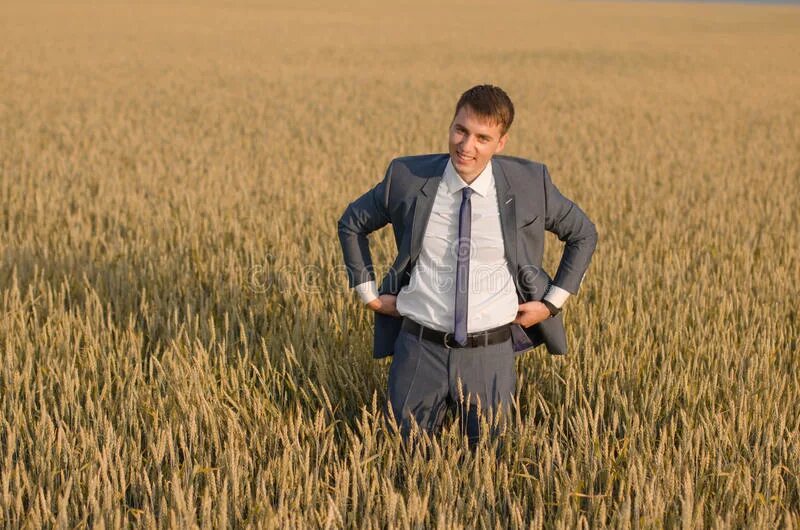 фермер предприниматель. мужик с ноутбуком в поле. Happy farmer, businessman, standing in wheat field with his hands and thumbs up. фермер бизнесмен. фермер бизнесмен.