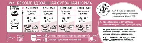 Сколько корма надо коту в день