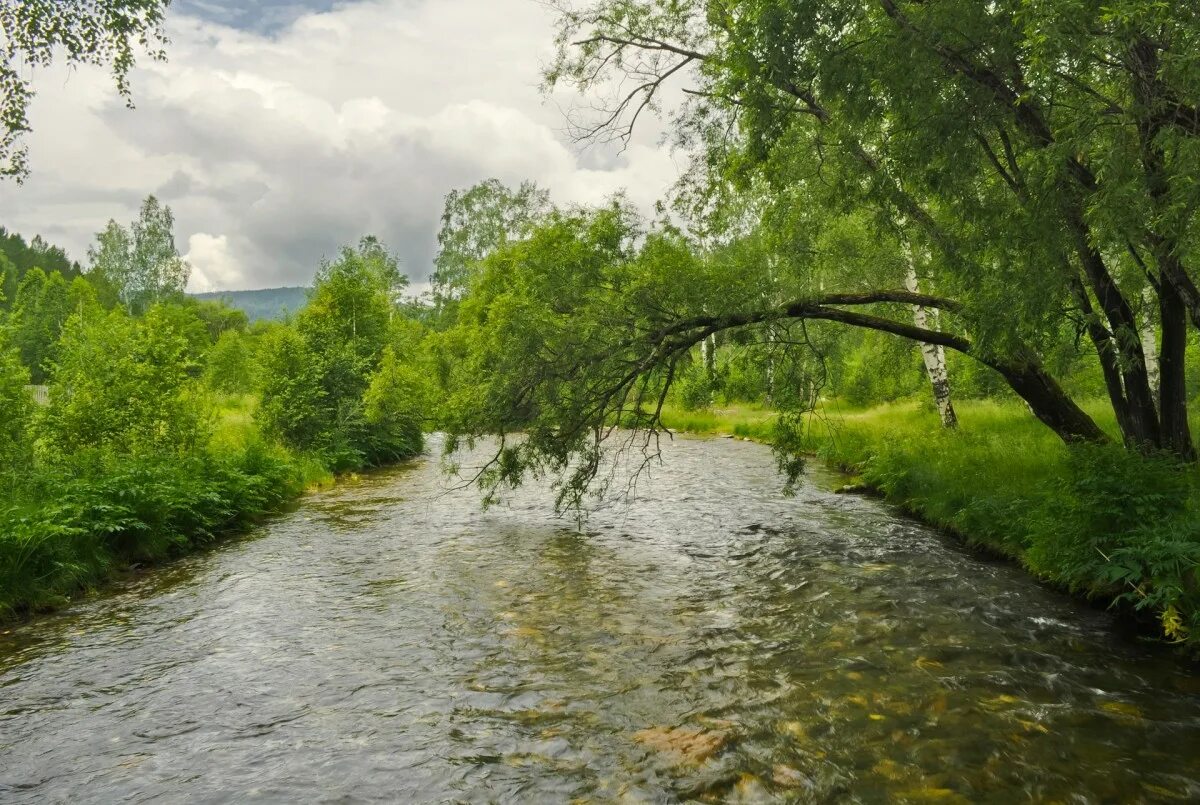 Лето река фото. Река Лименда. Река теша. Река Вожа. Река пыча.