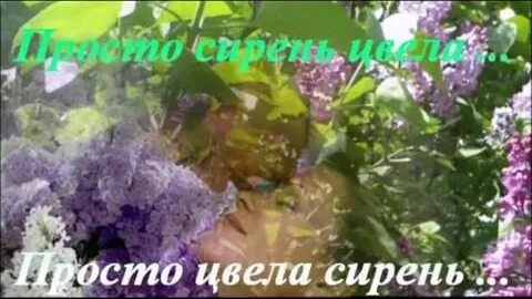 Песня плыл сирени песня
