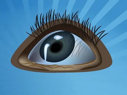 Ai eye
