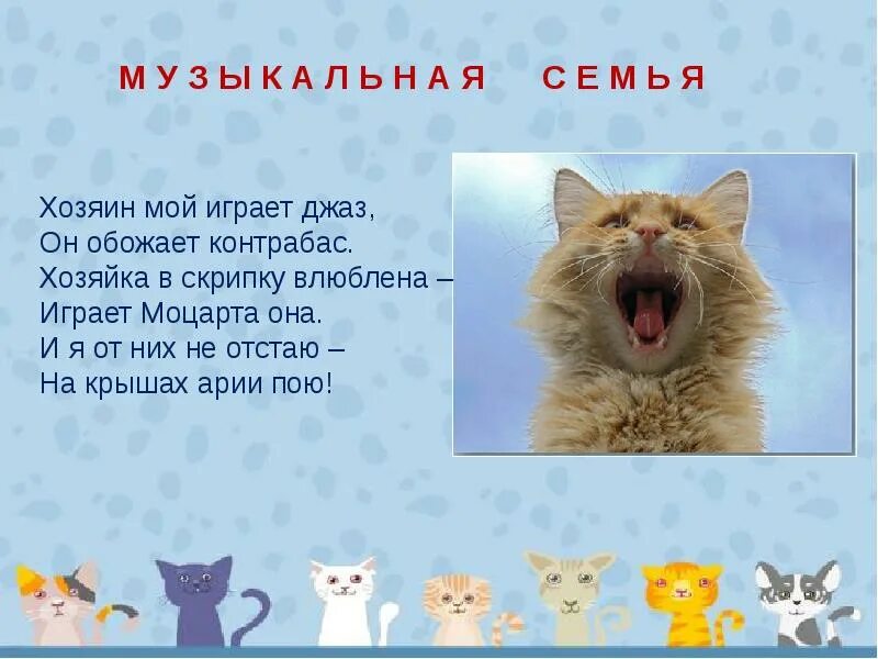 Загадки про котенка для 1 класса. Стихотворение про кошку. Стих для детей 4 лет про кошечку. Загадка про кошку. Загадки о кошке презентация.