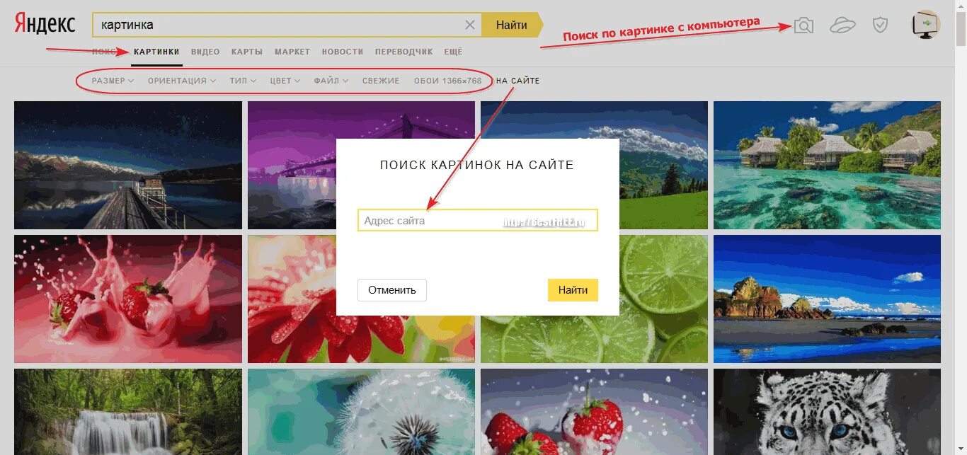 Найти фото по изображению. Поиск по картинке Яндекс. Найти картинку по картинке Яндекс. Яндекс картинки найти. Как найти по картинке в Яндексе.