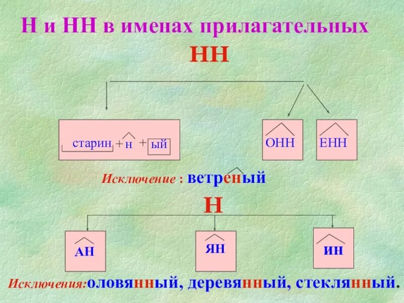 Правописание нн в разных частях речи таблица. Омофоны омографы омоформы примеры. Омонимы омографы омофоны. Род имен существительных примеры. Н и нн.