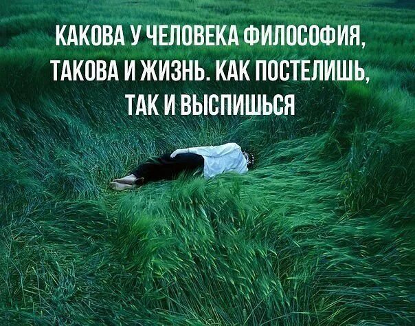 Коллеги правы жизнь так полна внезапностей. Философия жизни. философия жизни цитаты. философия жизни такова. моя жизненная философия.