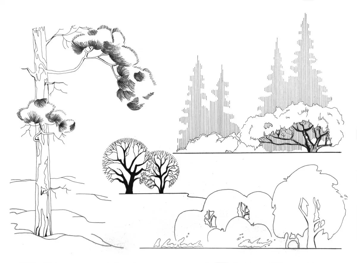 Архитектурный стаффаж деревья. Антураж деревья архикад. Антураж стаффаж деревья. Антураж стаффаж композиция архитектура. Антураж стаффаж кусты.