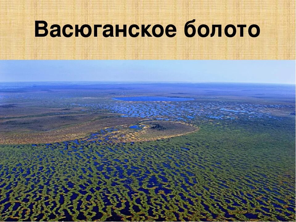 Самое большое болото васюганское. Западно Сибирская равнина Васюганское болото. Васюганские болота, Сибирь. Глубина Васюганских болот. Васюганское болото заповедник.