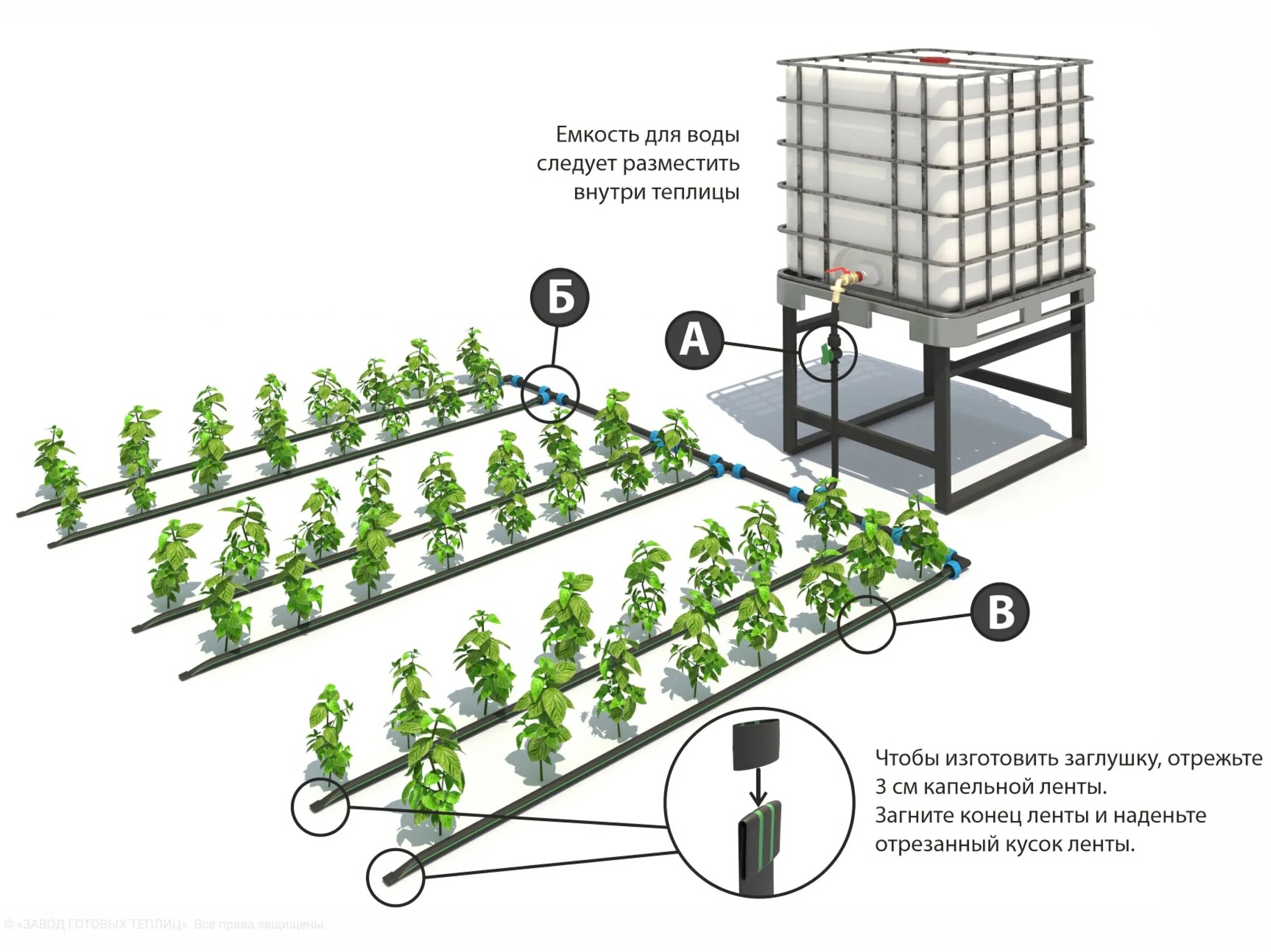 Капельный полив для теплицы купить на озон. Схема сборки капельного полива с таймером. Набор капельного полива Аквазис. Система капельного полива для теплицы чертеж. Сборка капельного полива в теплице из поликарбоната.