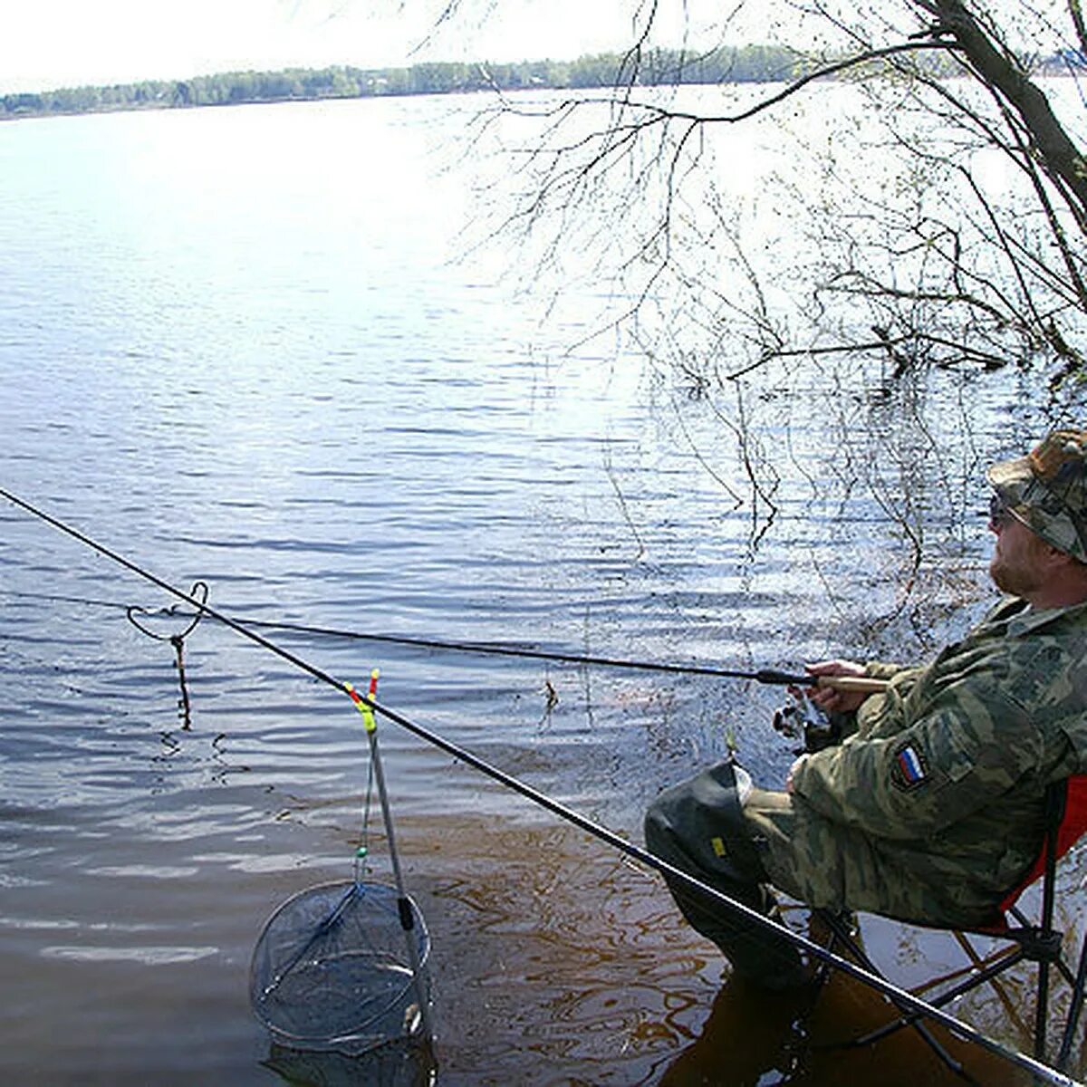 Пруд можно ловить рыбу. Ловля рыбы. Озеро с удочкой. Рыбалка на озере. Место для рыбалки.