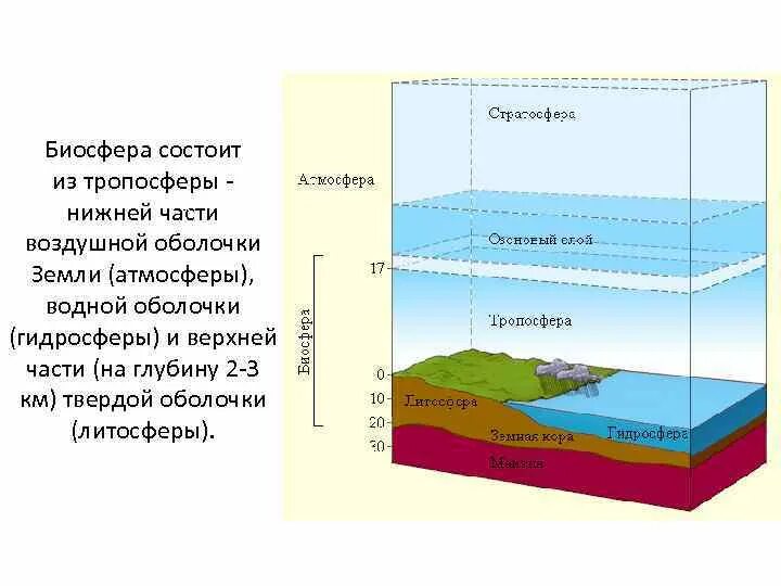 К какой оболочке земли относится. Литосфера гидросфера атмосфера Биосфера. Оболочки земли Биосфера, атмосфера. Структура биосферы атмосфера гидросфера литосфера. Оболочка земли атмосфера гидросфера и Биосфера рисунок.