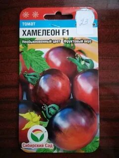 Томат хамелеон отзывы