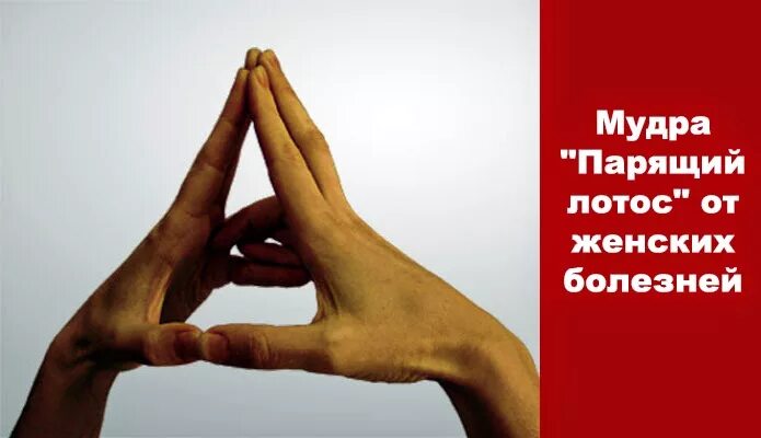 мудра парящий лотос от женских болезней. мудра лотос от женских болезней. мудры йога парящий лотос. мудра для женского здоровья. мудры для пальцев рук йога для пальцев.