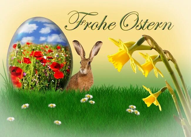 Фройе Остерн. Frohe Ostern открытки. Ostern 2021. Пасха католическая открытки Frohe Ostern. С католической пасхой картинки красивые на немецком