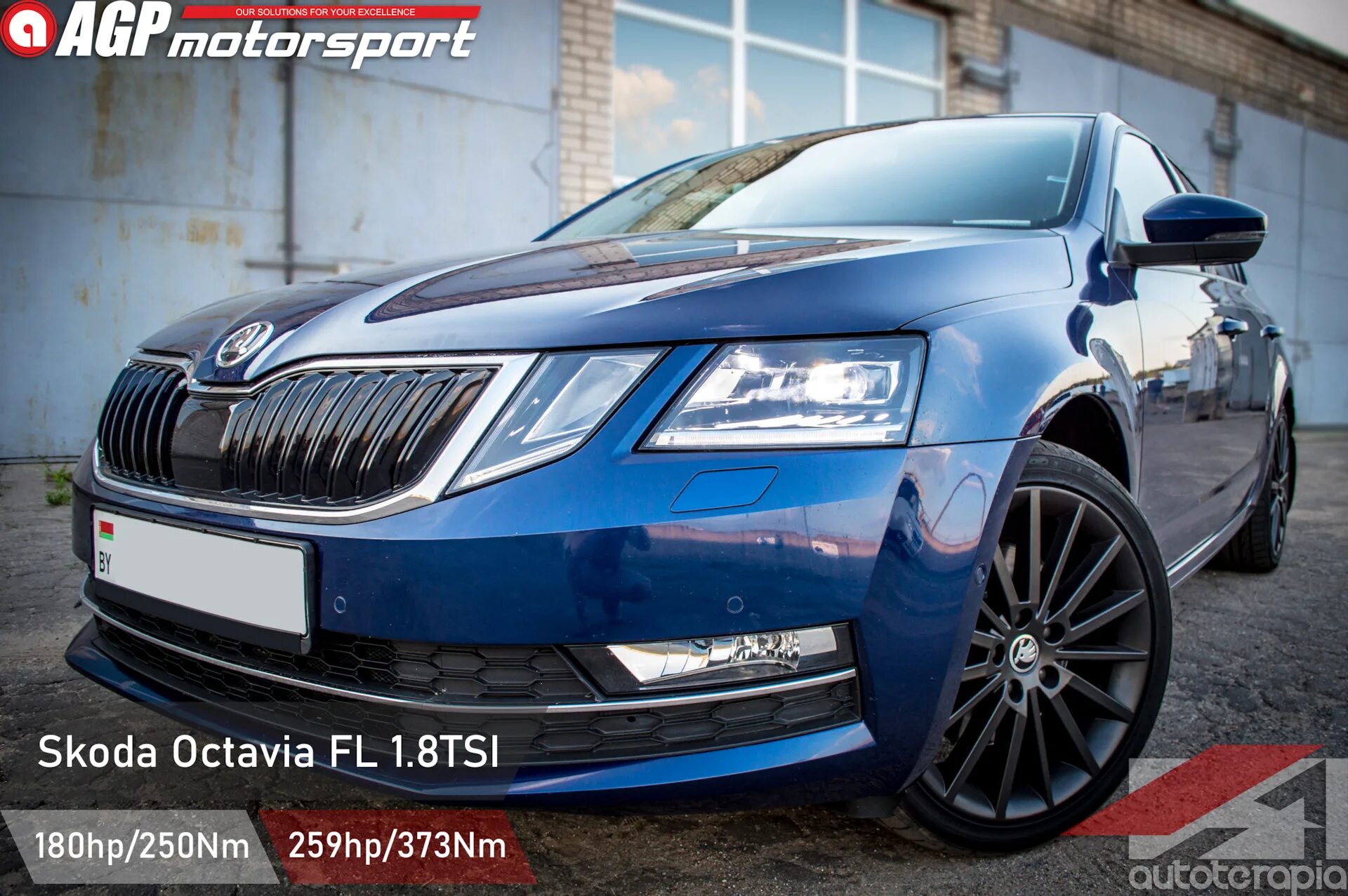 Skoda Octavia 1.8. Стейдж 1 шкода