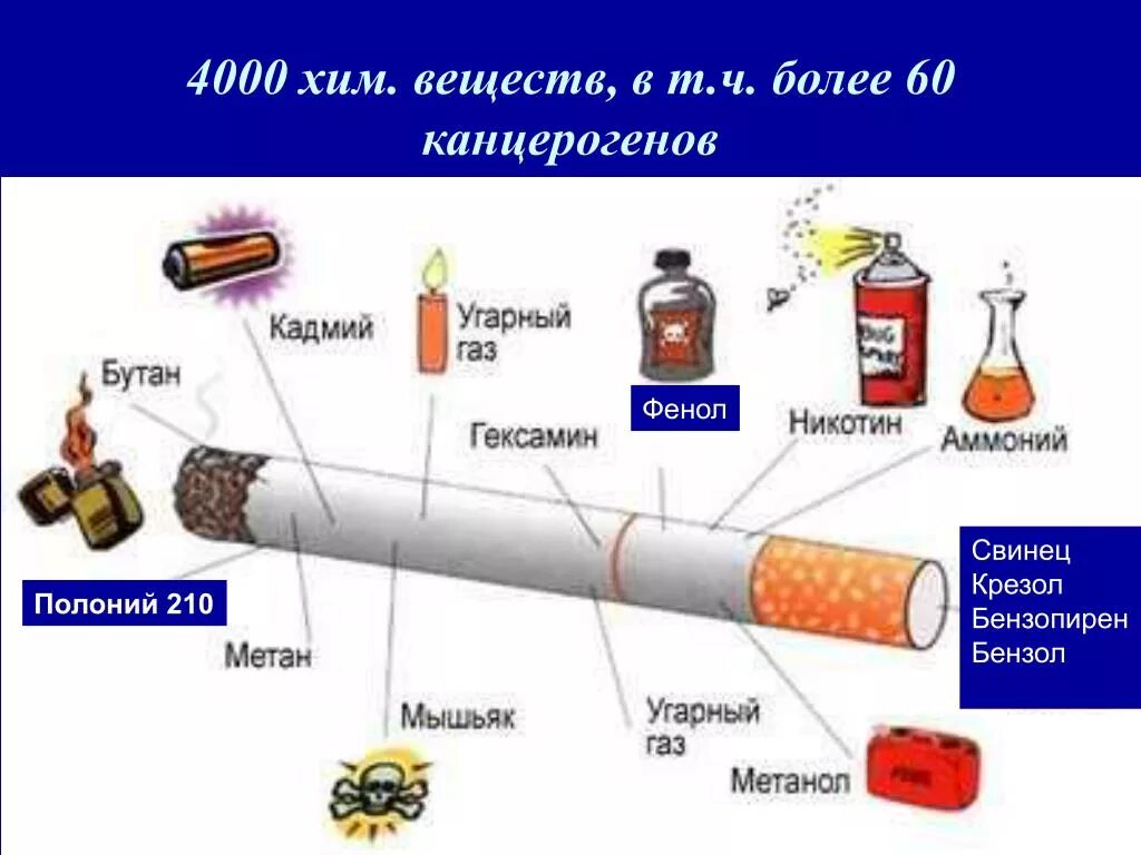 Никотин обмен веществ. Влияние фенола на организм человека. Влияние фенола на человека. Фенол воздействие на организм человека. Канцерогенные вещества в табачном дыме.