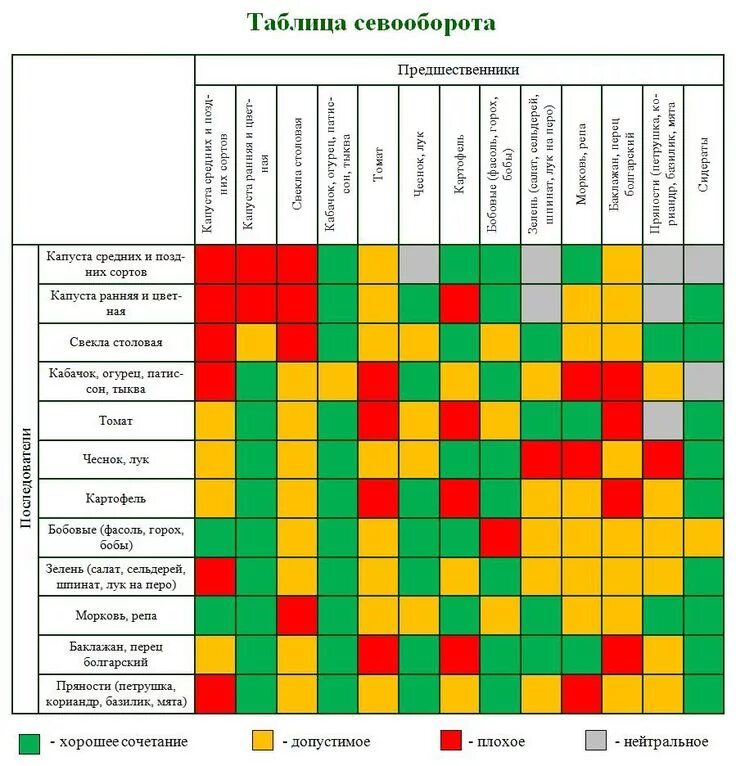 Южное соседство. Таблица севооборота овощных культур и сидератов. Севооборот овощных культур на дачном участке таблица. Севооборот схема чередования культур в севообороте. Чередование посадок овощных культур таблица.