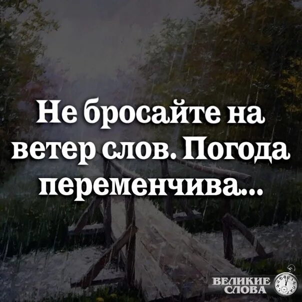 Не бросайте слов на ветер. Высказывания не бросайте слова на ветер. Слова на ветер цитаты. Слова брошены.