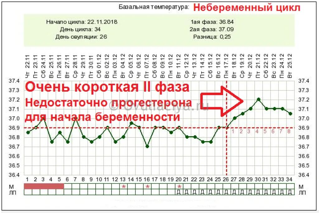 Забеременела на 7 день цикла. Цикл овуляции. БТ на второй день месячных. Какая БТ при месячных. Нормальная БТ первый день месячных.