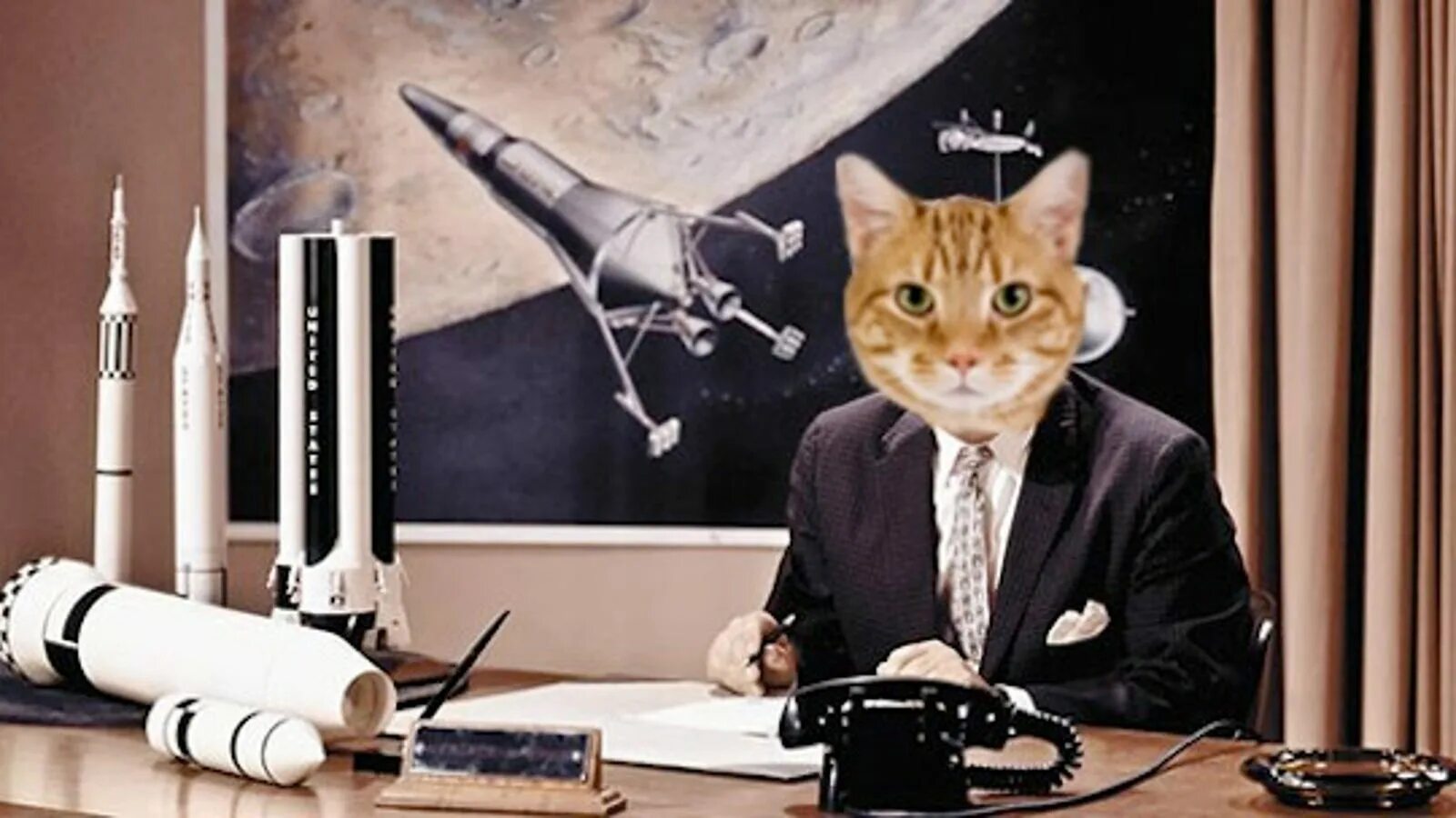 Cat science. Кот ученый. Котик ученый. Кот химик фото. Наука о кошках.