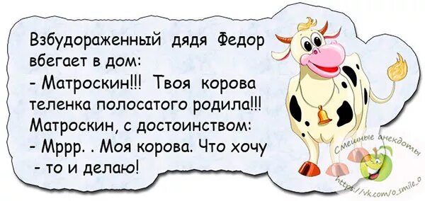 анекдот про корову и яблоки. корова прикол. анекдот про коровку и русалку. анекдот про быка и корову. анекдот про корову.