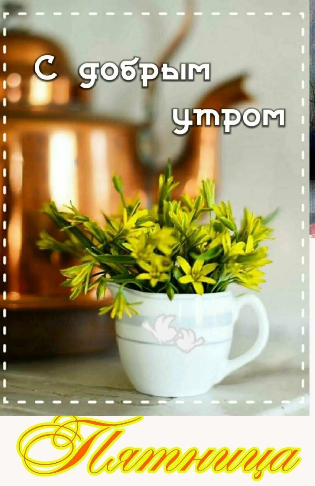 С добрым весенним мартовским утром пятницы. Открытки с добрым утром пятницы. Доброе весеннее утро пятни. Доброе весеннее утро пятницы. С добрым весенним мартовским утром пятницы.