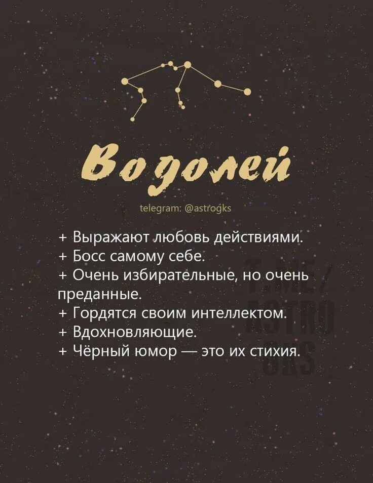 Водолей мужчина характеристика. Декабрьский козерог. Водолей женщина. Гороскоп для одиноких водолей. Водолей смешной гороскоп.