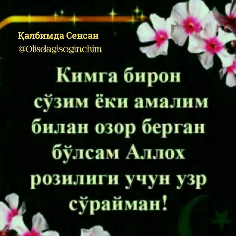 Шерлар. Бир сузим бор калбимда колиб кетган. Афоризм расмлар. Бир сузим бор калбимда колиб кетган. Опа сингил.