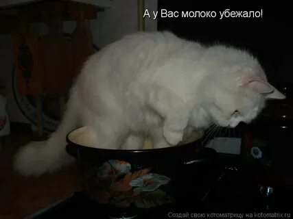 Чтоб не убежало молоко