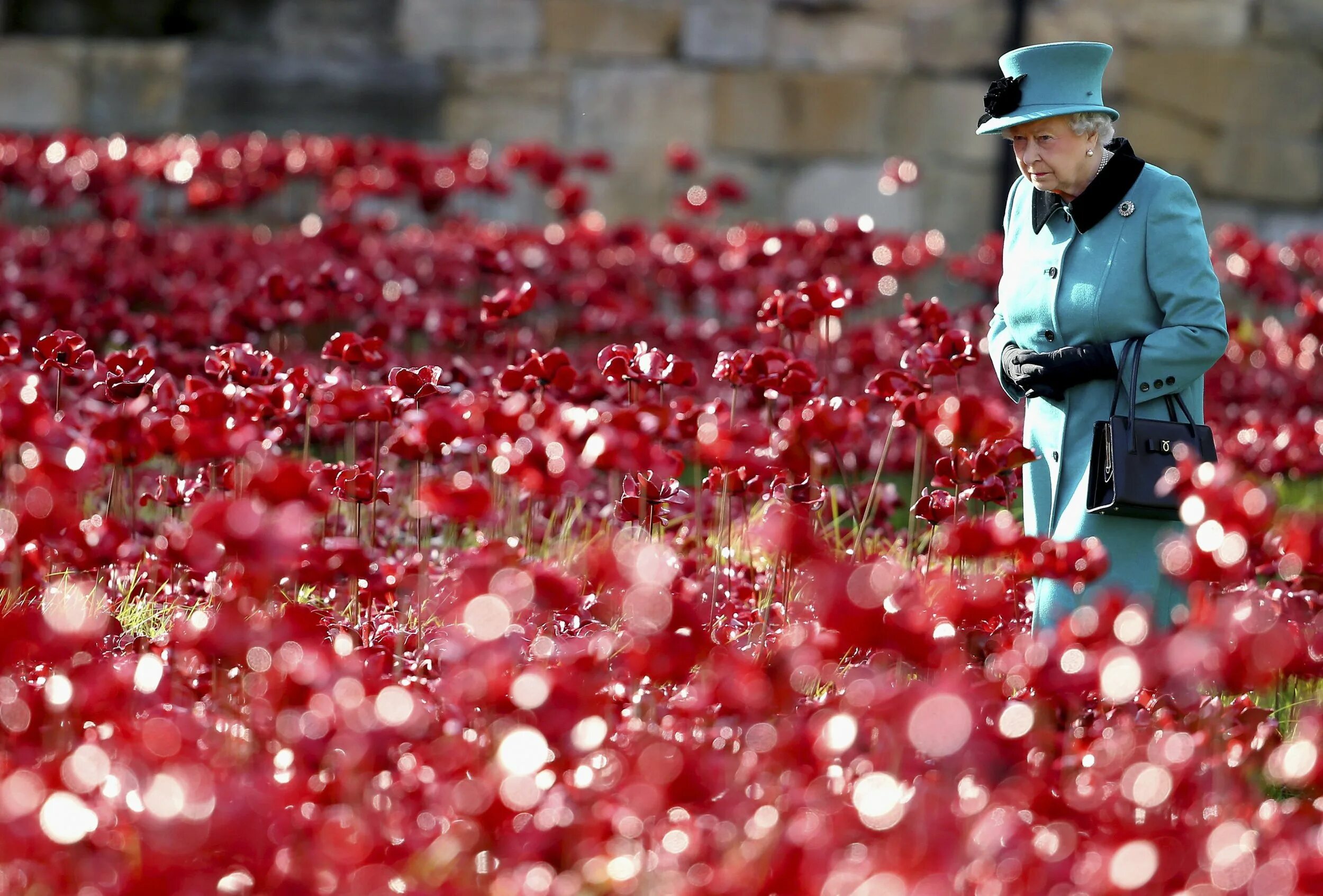 Remembrance Day Королева. День памяти в Великобритании. Красный Мак в Великобритании.