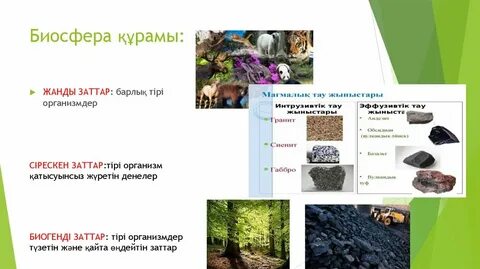 Жер неден тұрады