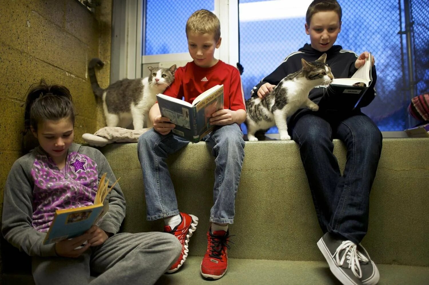 Дети и подростки в библиотеке. Дети читают. Чтение для детей. Животные школьники. Чтение подростков.