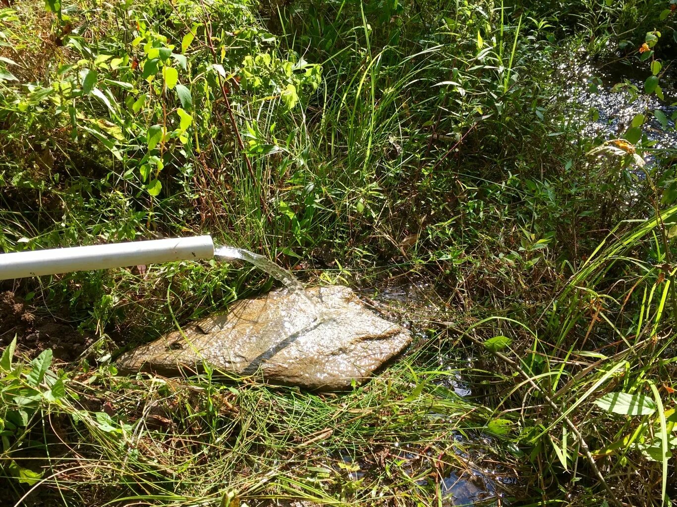 Выпив родниковой воды усталые путники. Родник на участке. Родниковые воды на участке. Родники на болотах. Грунтовая Родниковая вода.