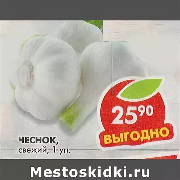 чеснок в магазине пятерочка. чеснок за кг. пятерочка чеснок. слоновий чеснок купить. сколько стоит чеснок в пятерочке.