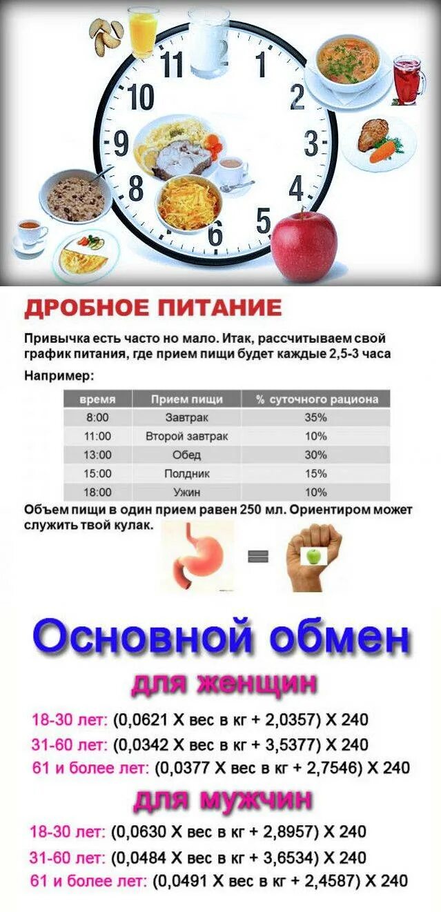 Часы питания при правильном питании. Система правильного дробного питания для похудения. правильный рацион питания по часам. график приема пищи для похудения. правильно питание по часам.