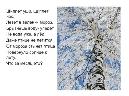 Январь зимы государь почему так говорят
