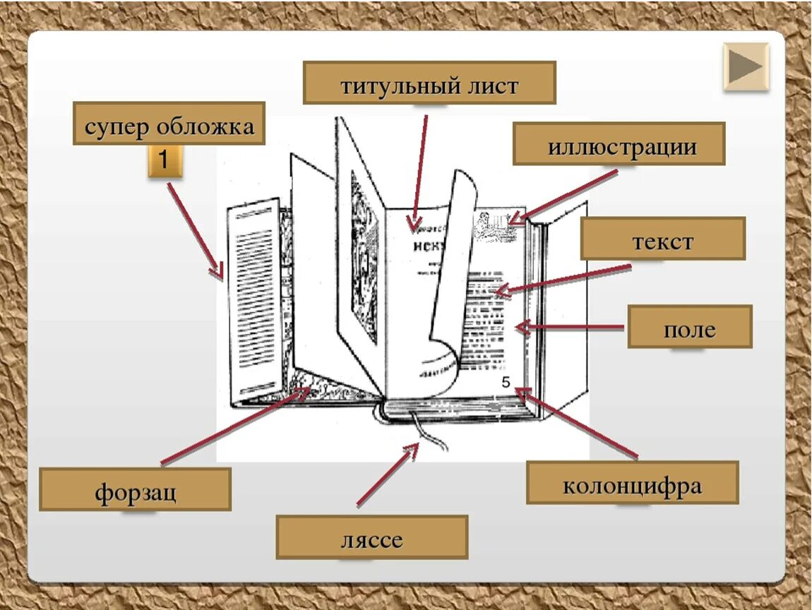 Из чего состоит структура книги. Части книги. Части книги как называются. Как назаваютсячастикниги.