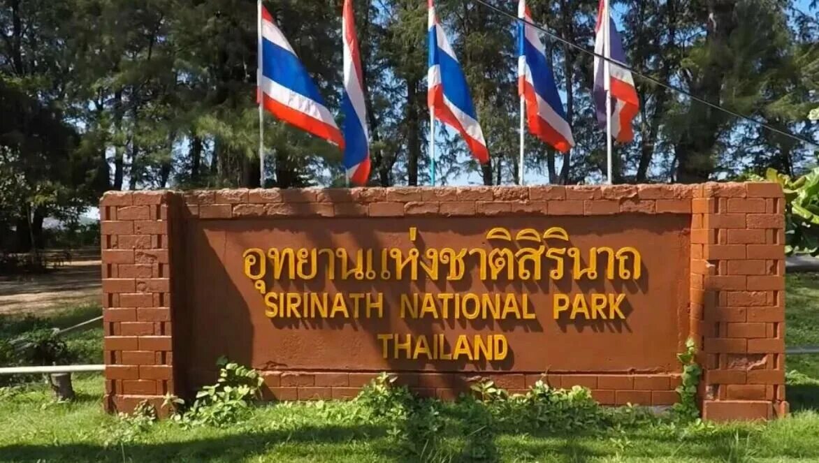 Sirinat national park. Тропа тачачай. Национальный мангровый парк (mangrove national park). Sirinat national park. Национальный парк сиринат пхукет.