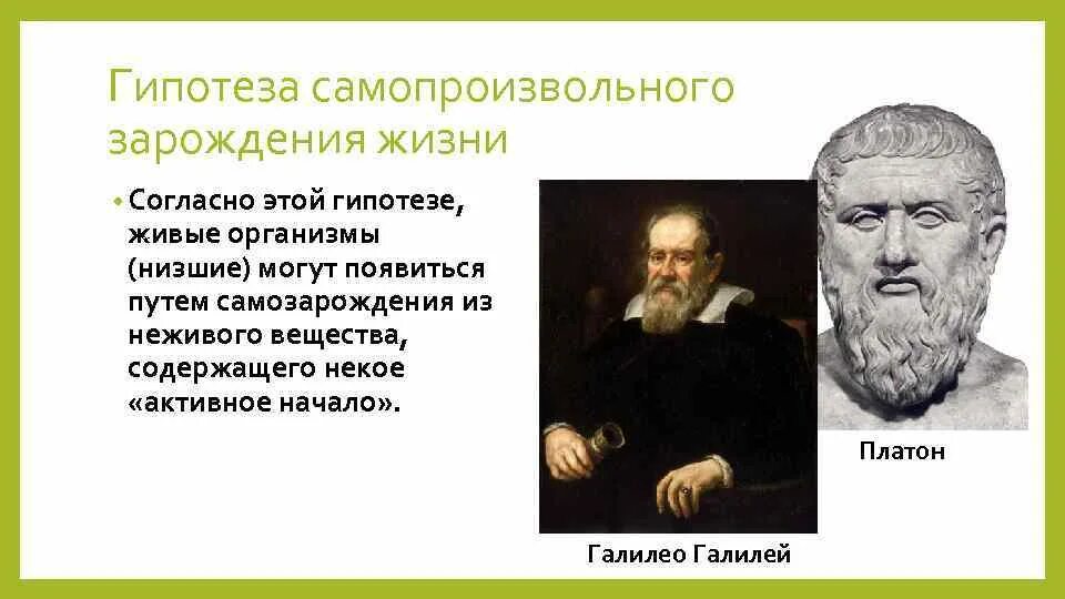 Гипотизасамопроизаольногозарождения жизни. Самопроизвольное Зарождение жизни. Гипотеза самопроизвольного зарождения. Сторонники гипотезы самопроизвольного зарождения.