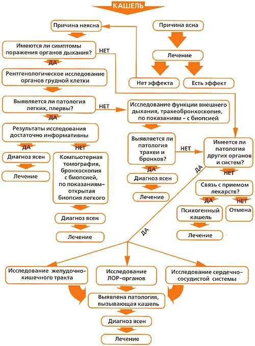 Кашель у ребенка диагноз. Алгоритм ведения пациентов с кашлем. Схема терапии кашля. Схема лечения кашля. Алгоритм диагностического поиска при хроническом кашле.