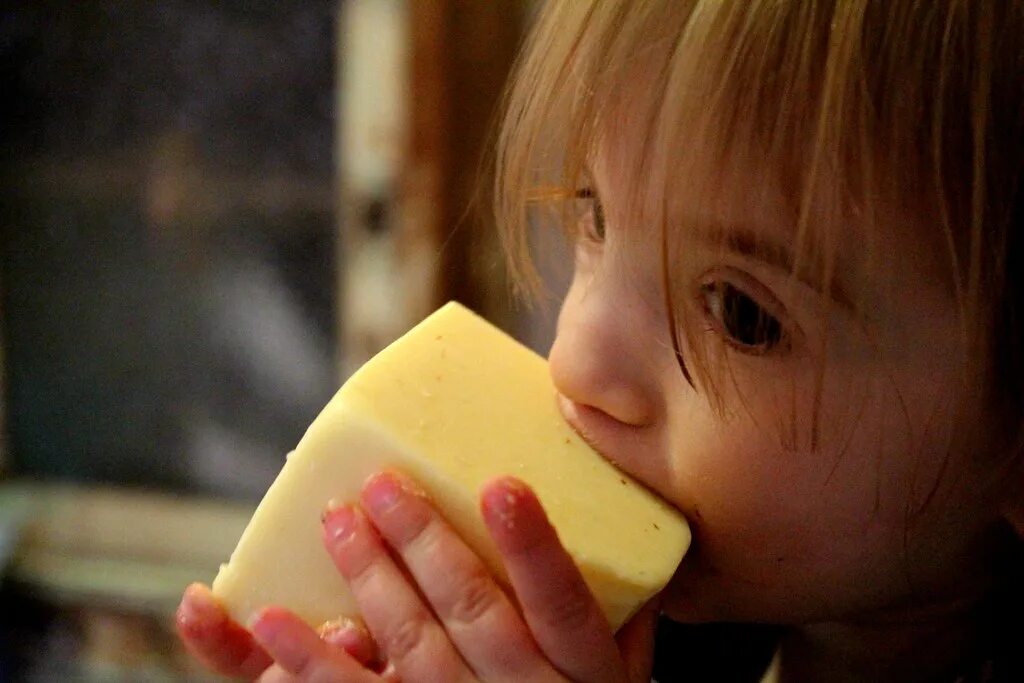 Можно ли давать детям сыр. Сыр для детей. Человек ест сыр. Сырный человек. Ребенок ест сыр.