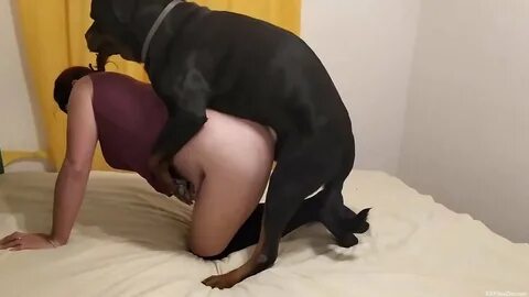 Treated like a dog porn - Porn for you