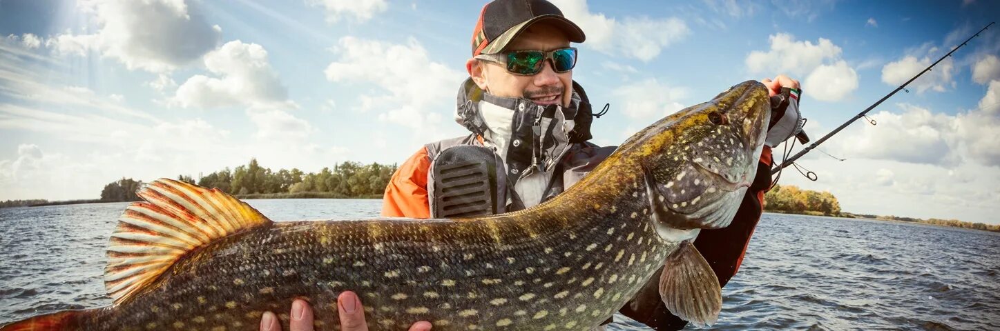 санаторий рыбака. база отдыха у озера олтушское малоритского района. рыбалка. браславские озёра санаторий курорты. база отдыха веста белоруссия.