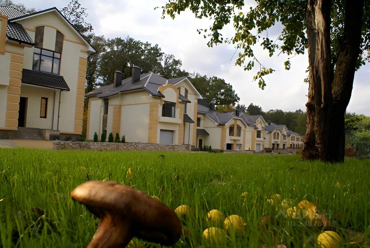 Лесной исторический район. Рабочий поселок лесной пушкинский район. Лесной советская улица 3в пушкинский райрон. Рп лесной пушкинский район. Лесной советская улица пушкинский район.