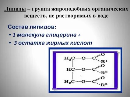 Химические соединения липидов