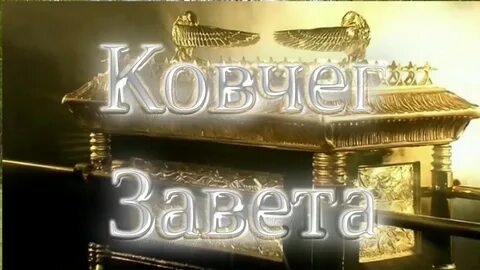 Ковчег номер телефона
