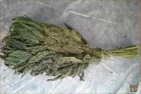 Веник из крапивы