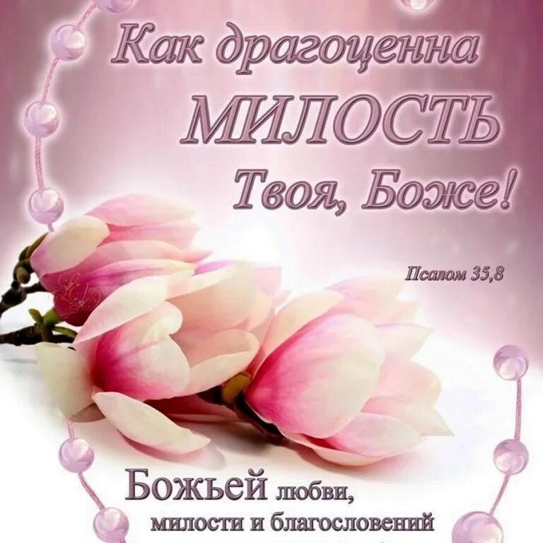 Божья милость читать. Картинки как драгоценна милость твоя,боже!. За что мы получаем милость божью. Божья милость манхва. Божья милость читать.