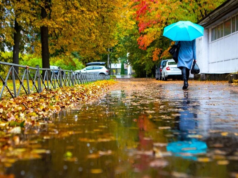 Умеренный дождь. Октябрь дождь. Небольшой дождь. Ноябрь дождь. Дождливая погода.